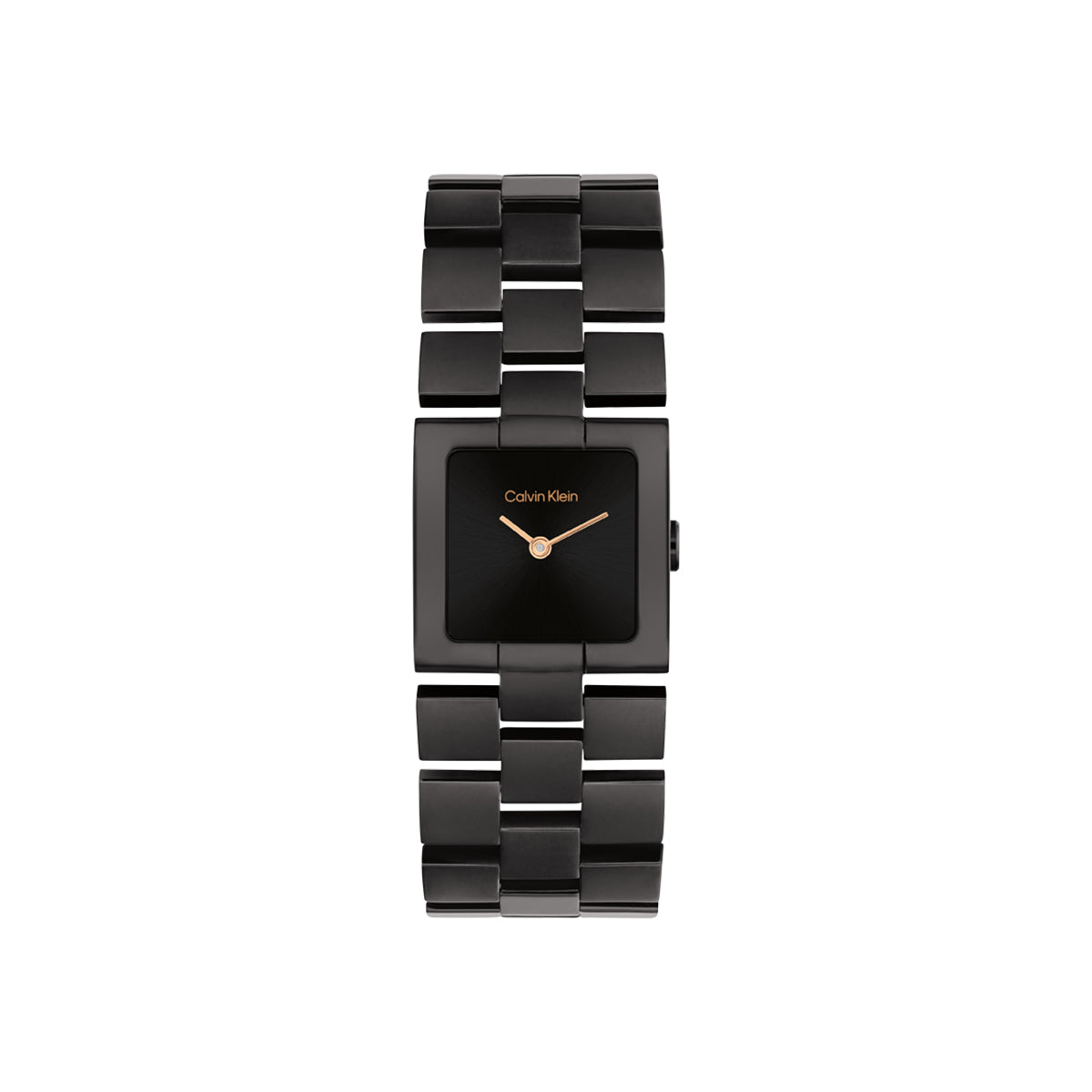 OROLOGIO CK MERIDIANCOD: 25100091